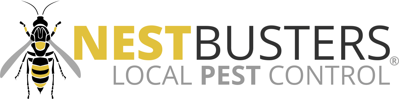 Wasp Nest Removal Nottingham | Pest Control Nottingham